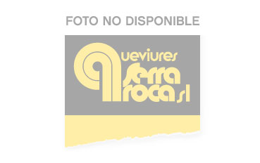 Dispensador